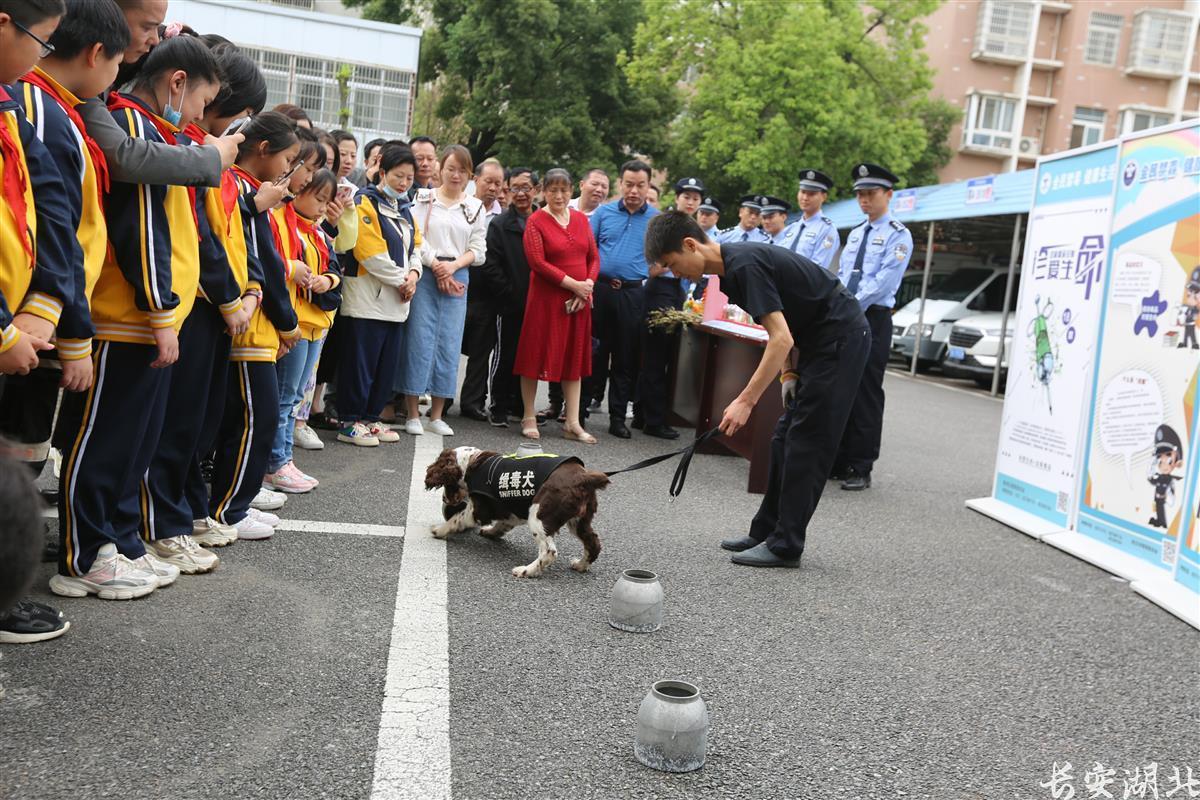 小案4.jpg