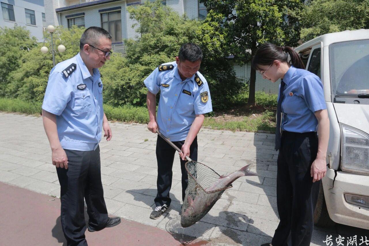 微信图片_2026-05-19_173310_244.jpg