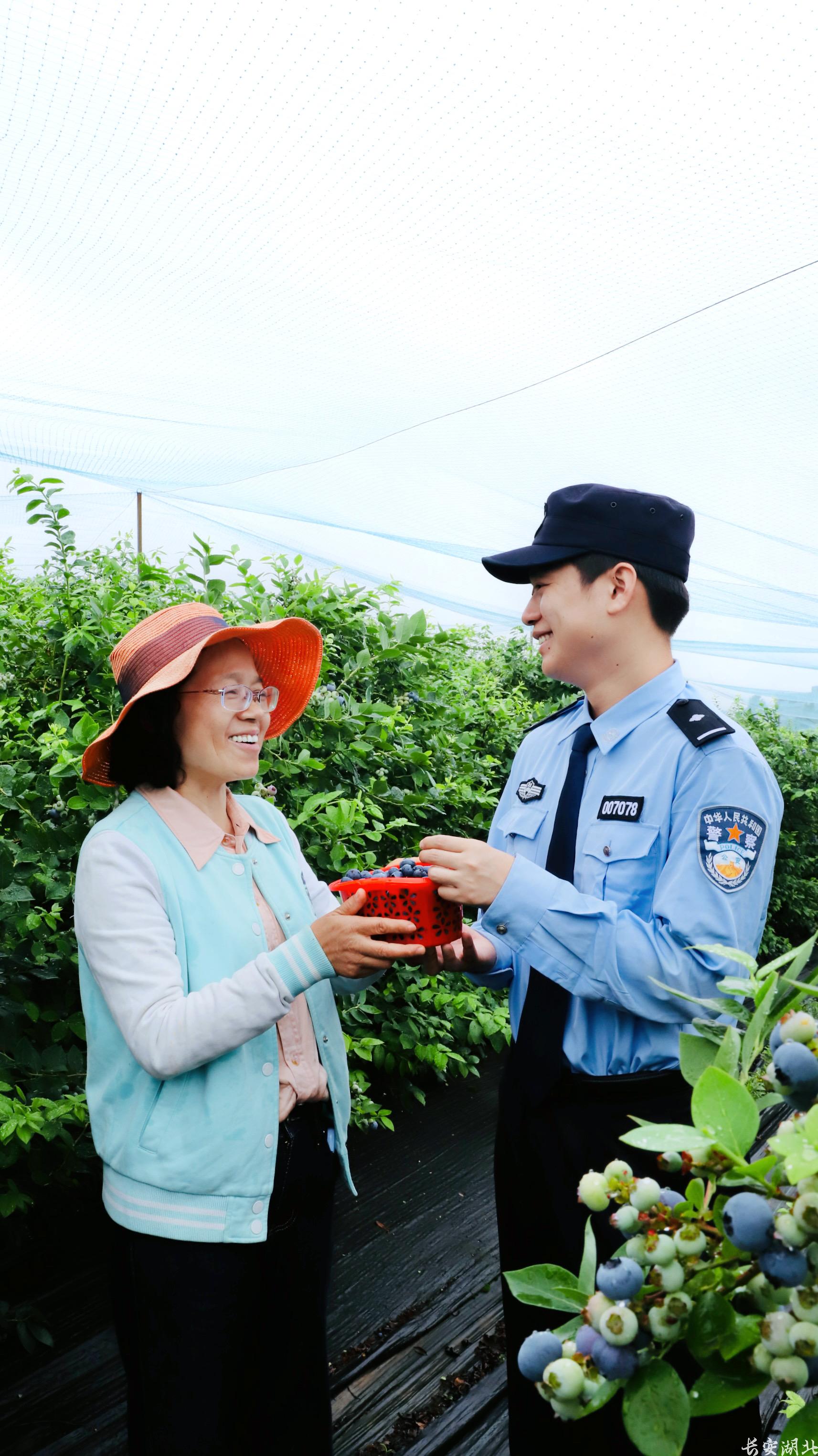 5月20日,大冶市公安局金牛派出所民警走进金牛镇蓝莓种植基地,深入田间地头,向农户详细了解蓝莓长势、收成及生产经营情况,(001).jpg